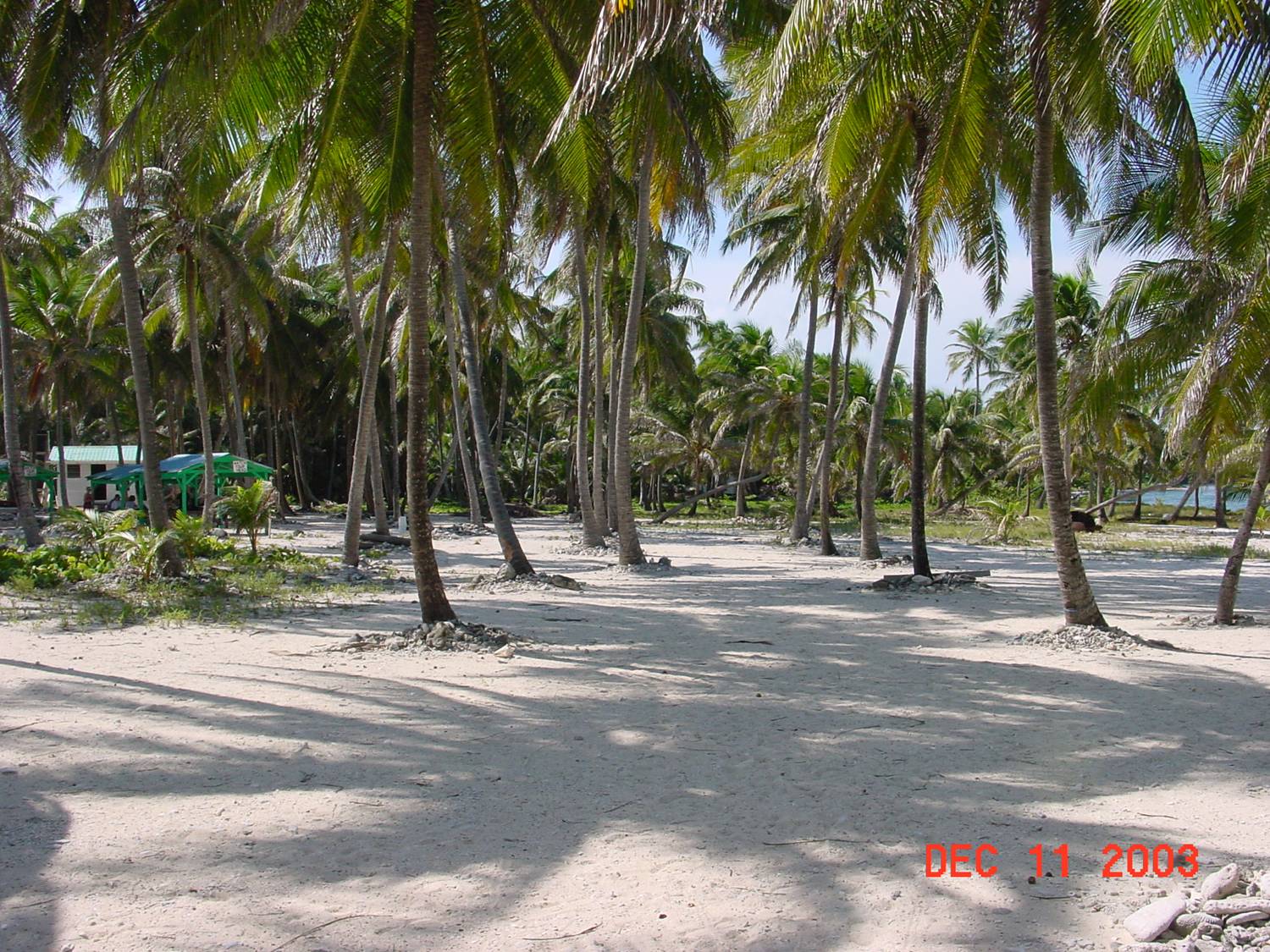 Half Moon Caye Picnic Area