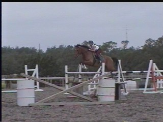 Bandit and Bonney jumping an Oxer