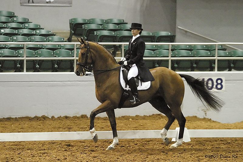 BlueBonnet GP - Show June 2005