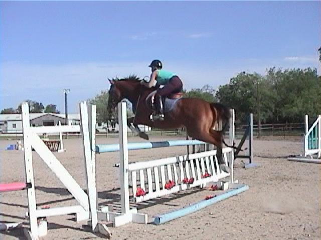 up a lil - maybe 4'??