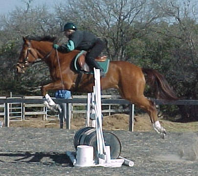 Golden Bandit and Bon