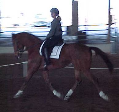 clinic2 - who's that DARK horse and rider?
