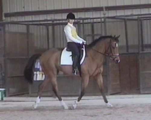 Collected Trot