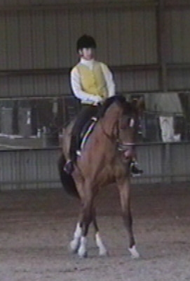 trot half pass