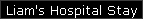 Liam's Hospital Stay