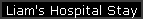 Liam's Hospital Stay